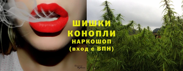 гашик Абаза