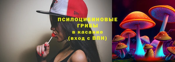 стаф Абинск