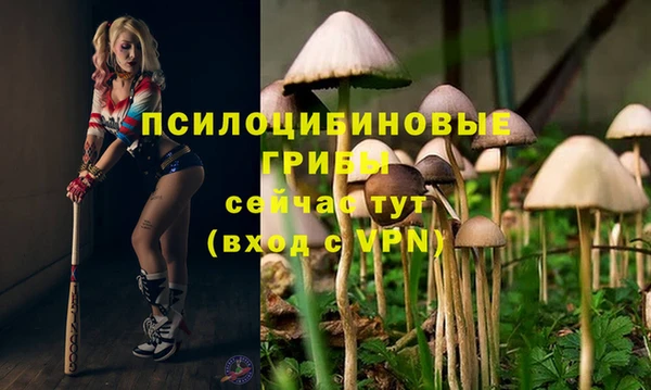 гашик Абаза