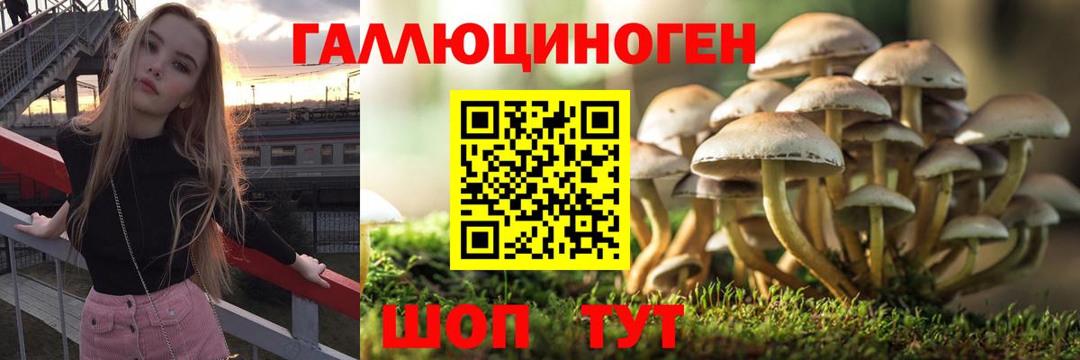 Лангепас  Галлюциногенные грибы Cubensis  Вход с VPN 