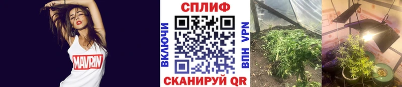 Канабис гибрид  как найти закладки  Лангепас 